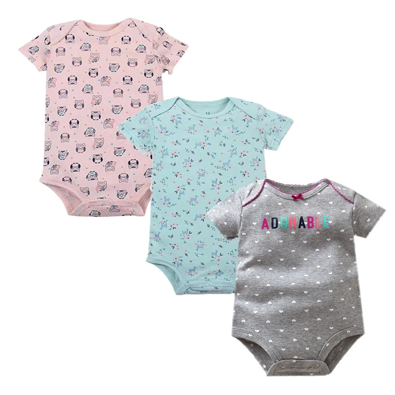 44613811863778|44613811896546|44613811929314|44613811962082|44613811994850|44613812027618