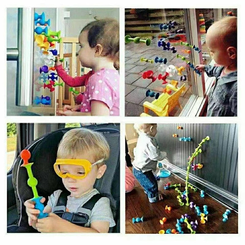 Sucker Suction Cup Educational - BabbeZz