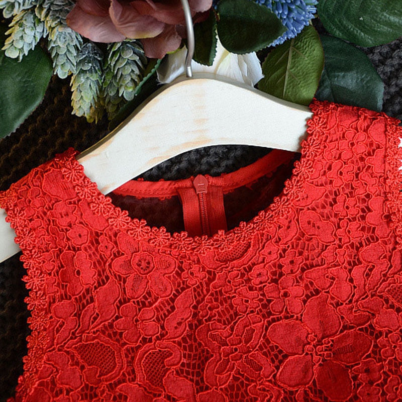 Flower Fairy Birthday Party Dress for Toddler Girls