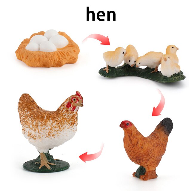 Wooden Animal Life Cycle - BabbeZz