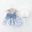 Blue chrysanthemum