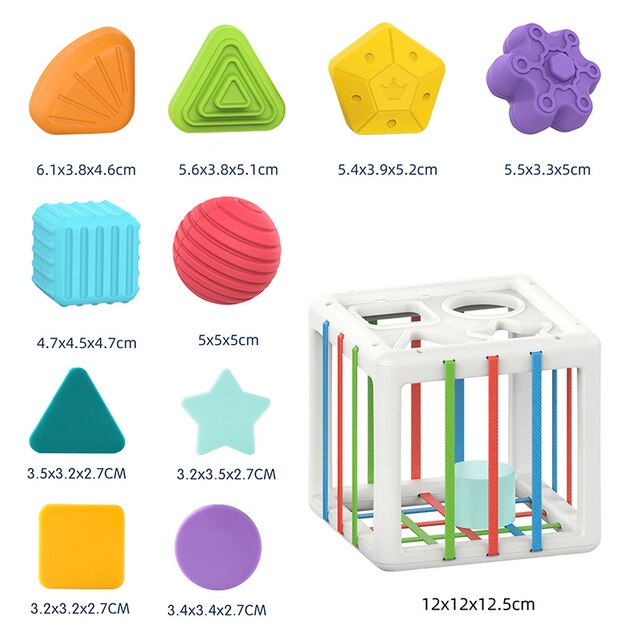 4 in 1 Montessori Pull String - Babbez
