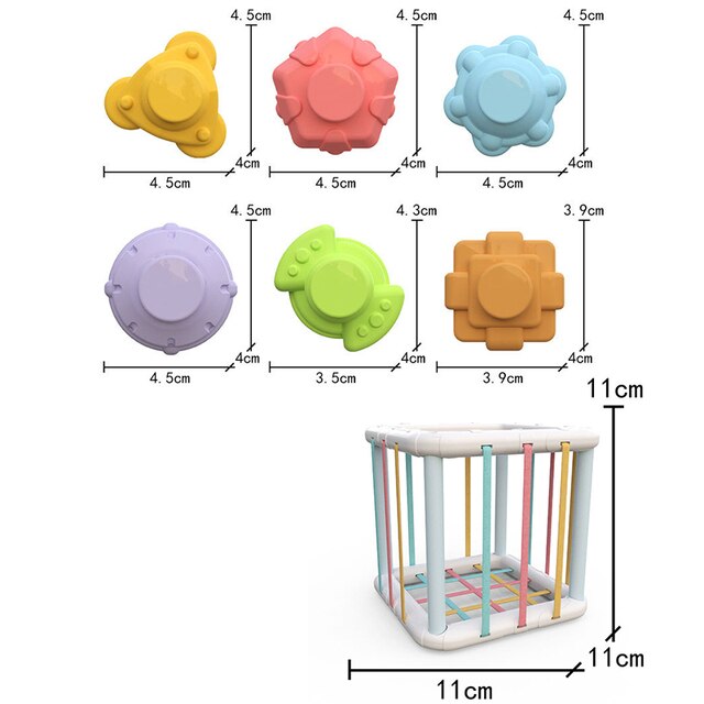 4 in 1 Montessori Pull String - Babbez