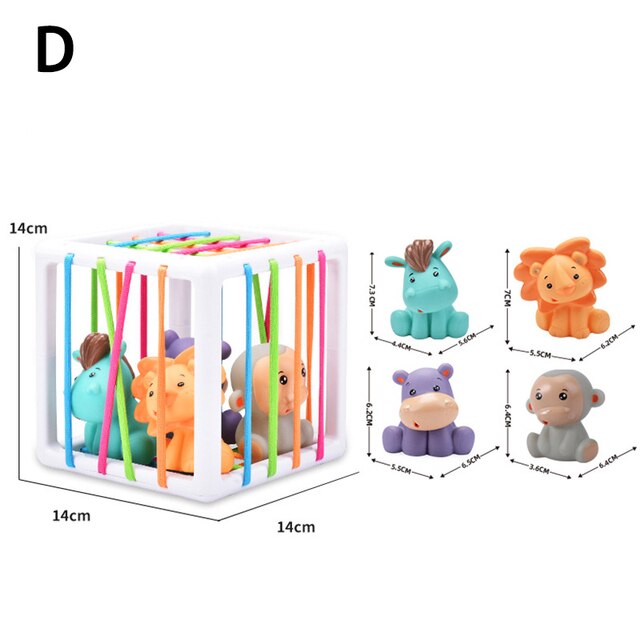 4 in 1 Montessori Pull String - Babbez