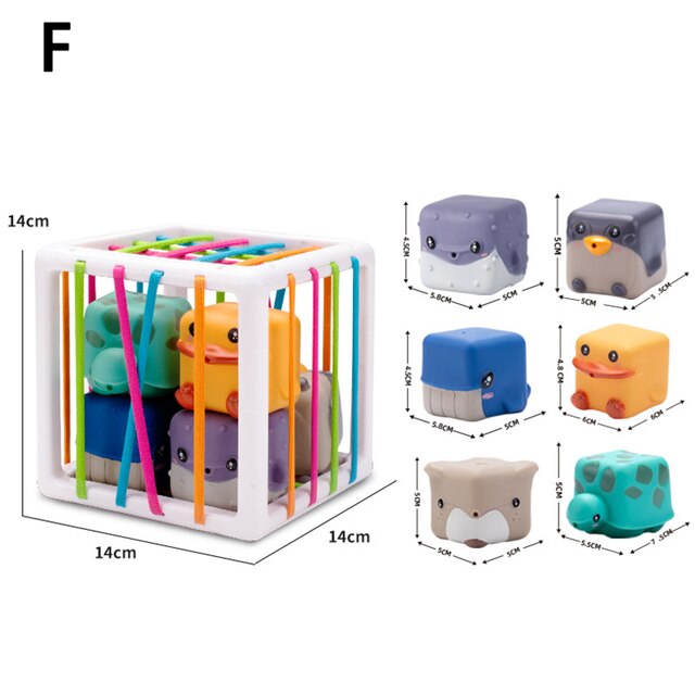 4 in 1 Montessori Pull String - Babbez