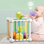 4 in 1 Montessori Pull String - Babbez