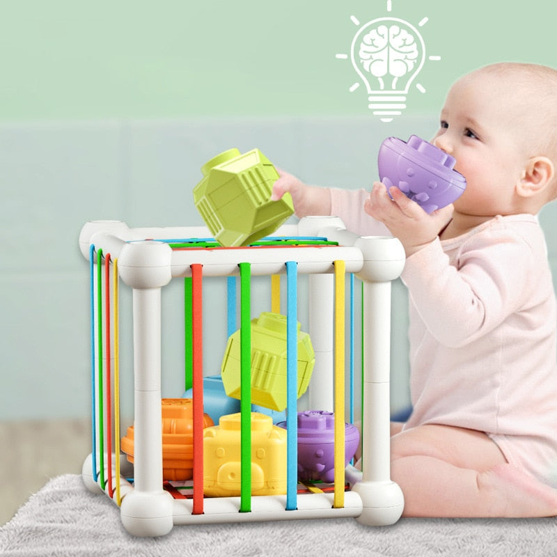4 in 1 Montessori Pull String - BabbeZz