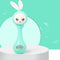 Baby Music Flashing Rattle Toys - BabbeZz
