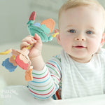 Educational Learning Sensory Teething Toys - Babbez