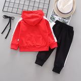 Baby Cotton Hoodies Pants 2Pcs/set - Babbez