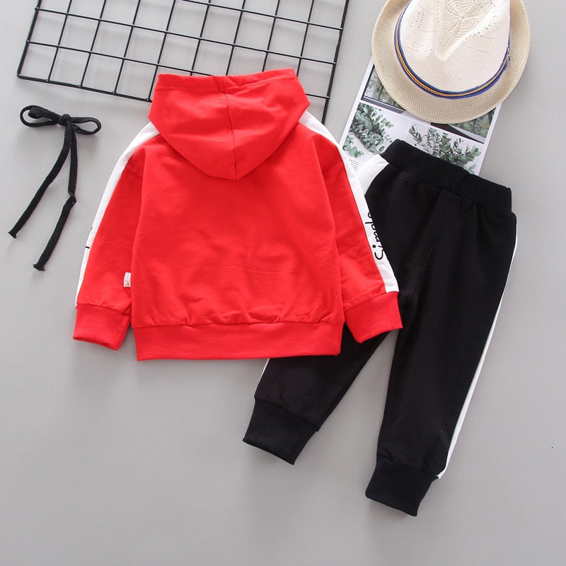 Baby Cotton Hoodies Pants 2Pcs/set - Babbez