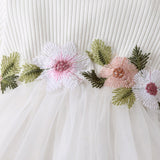 Infant Baby Girls Princess Dress: Long Sleeve Knitted Ribbed Flower Embroidery Lace Patchwork Layered Tutu Dress