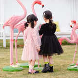 Polka Dot Princess: Long Sleeve Tulle Dress for Toddler Girls