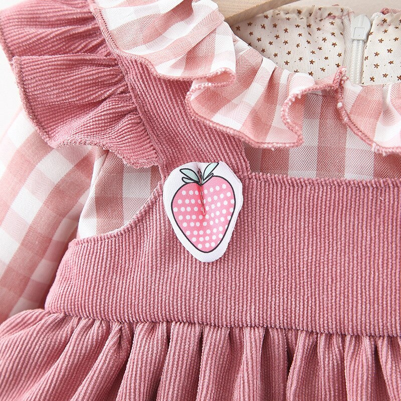 Adorable Autumn Baby Girl Strawberry Plaid Dress for 0-3 Year Old