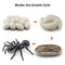 Wooden Animal Life Cycle - BabbeZz
