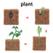 Wooden Animal Life Cycle - BabbeZz