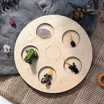 Wooden Animal Life Cycle - Babbez