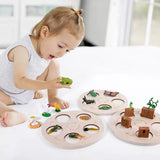 Wooden Animal Life Cycle - Babbez