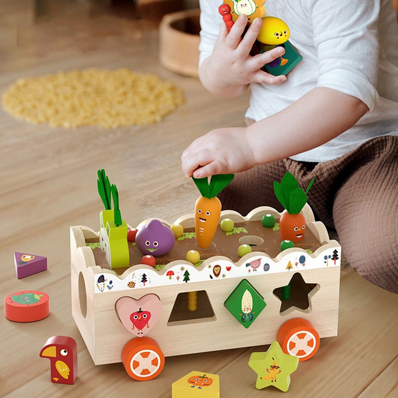 Wooden Color Toys - BabbeZz