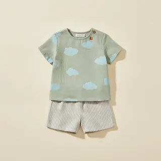 Toddler (1–3y)