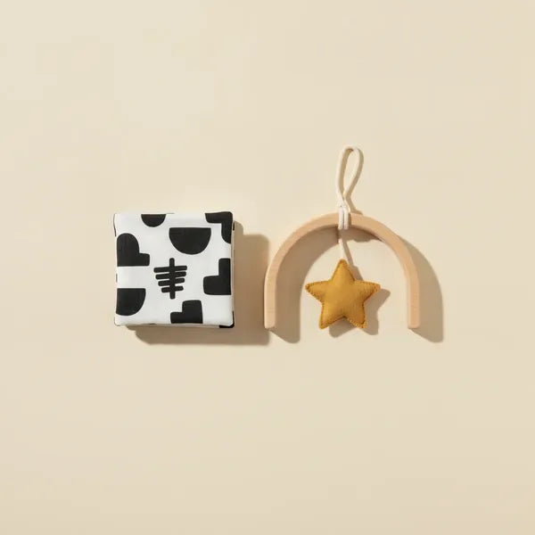 Newborn toys